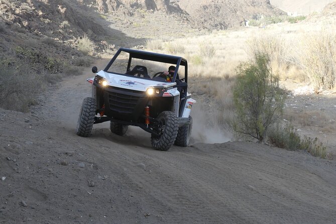 Buggy Tour Gran Canaria - Past the Reservoir: Bamboo Fields, Palms, and Prickly Pears