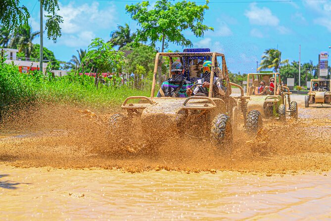Buggy Tour in Punta Cana - Los Hoyos del Salado Cenote: The Walk and the Fresh-Water Reward