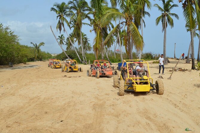 Buggy Tour Punta Cana Extreme Adventure - Price and Timing: What You’re Really Paying For