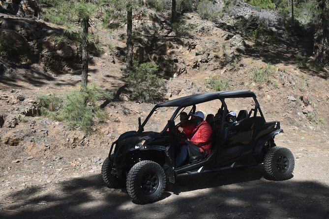 Buggy tour to Teide in Tenerife - San Miguel de Abona and the Cho farm-style stop for extra variety