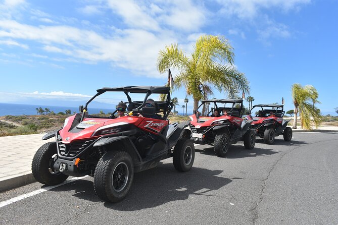 Buggy tour to Teide in Tenerife - Guides on Teide: clarity, personality, and quick answers