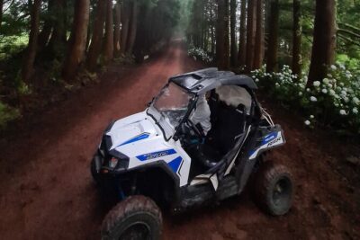 BUGGY TOUR - West / Center of the island (off-road) - Getting There: Pickup from Angra and the Meeting Point