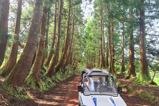 BUGGY TOUR - West / Center of the island (off-road) - Guides Who Keep You Moving: Joao and John’s Style