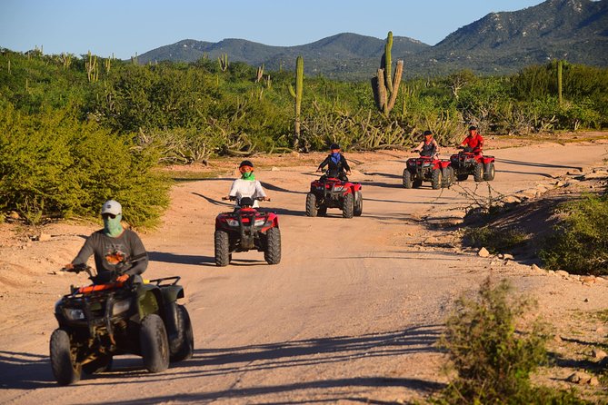 Cabo Migrino Beach and Desert ATV Tour plus Tequila Tasting - Tequila tasting at the end: included, but go in prepared