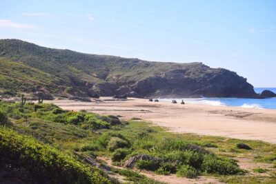 Cabo Migrino Beach & Desert Tour (Quad UTV) - Baja California Sur terrain: deserts, plants, and the fun of being alert