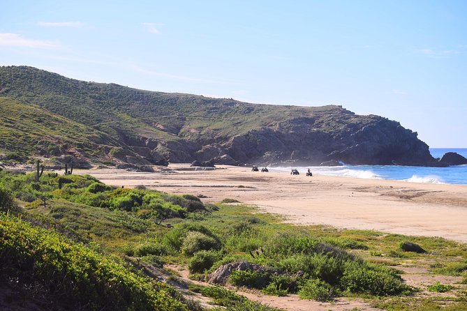 Cabo Migrino Beach & Desert Tour (Quad UTV) - Baja California Sur terrain: deserts, plants, and the fun of being alert