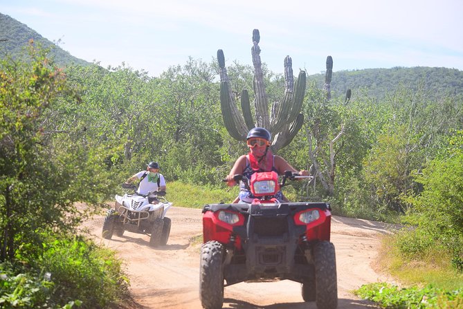 Cabo Original Real Baja 1000 Tour (Single ATV) - Key Points at a Glance