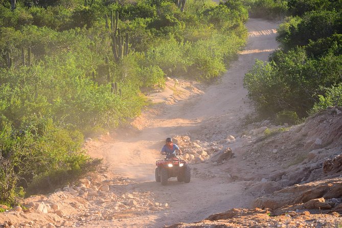 Cabo Original Real Baja 1000 Tour (Single ATV) - Guides Who Actually Drive: Raul, Alberto, Sergio, and Chino