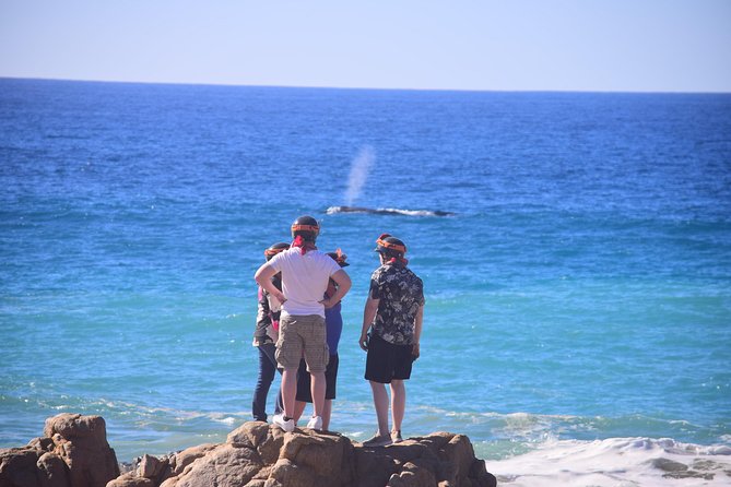 Cabo Original Real Baja 1000 Tour (Single ATV) - Photography Stops That Don’t Feel Forced