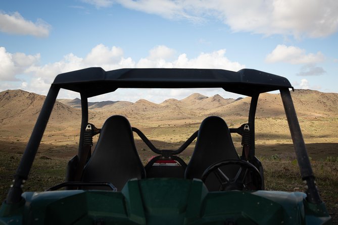 Camel and Quad Biking Tour from Marrakech - Quad Biking Through Palm Groves and Berber Villages