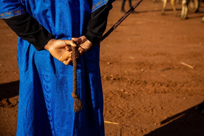 Camel and Quad Biking Tour from Marrakech - Safety and Handling: Helmets, Head Covers, and Common Sense