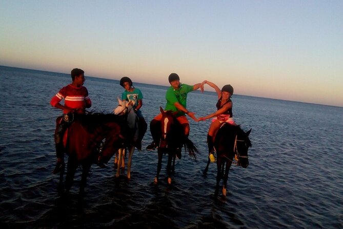 Camel ride & Bedouin dinner quad safari in Sharm el Sheikh - From 3:30 pm pickup to the desert: the timing that makes it worth it