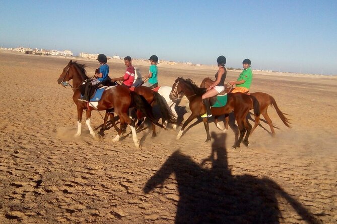 Camel ride & Bedouin dinner quad safari in Sharm el Sheikh - Bedouin village tea and camel time: short cultural moments that still matter