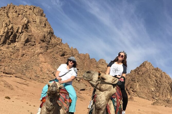 Camel ride & Bedouin dinner quad safari in Sharm el Sheikh - Dinner, soda, and the oriental show: how the evening lands