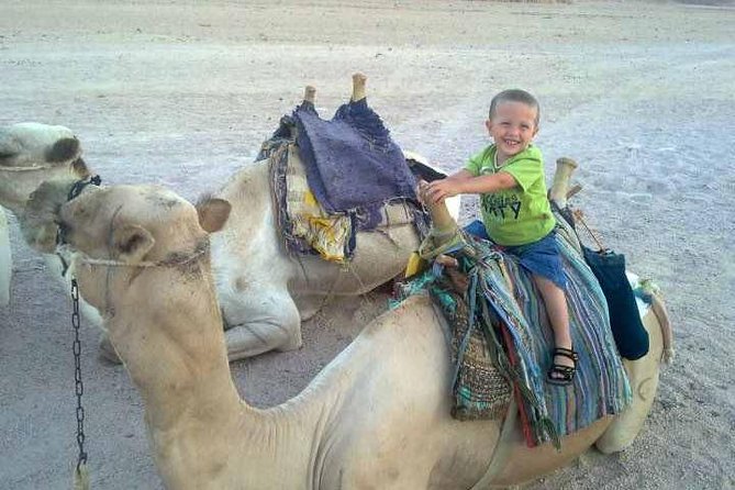 Camel ride & Bedouin dinner quad safari in Sharm el Sheikh - The quad ride: what you’re really paying for (and how to handle speed)