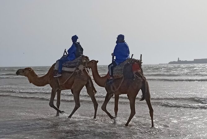 Camel ride or quad bike ride.. pick up, drop off. including - Pickup and timing: getting on the camel without stress