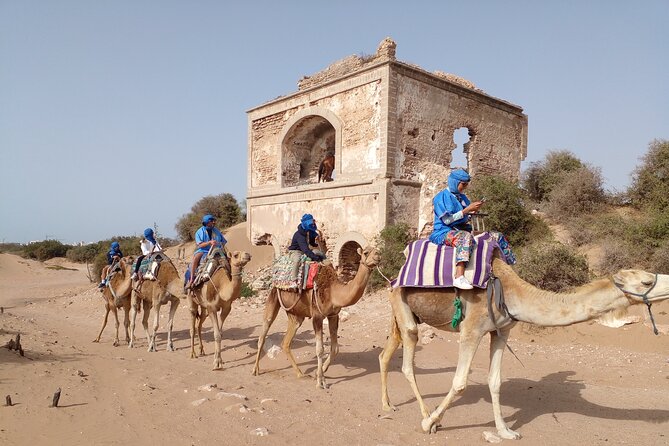 Camel ride or quad bike ride.. pick up, drop off. including - The Portuguese fort stop: quick, meaningful, and photo-friendly