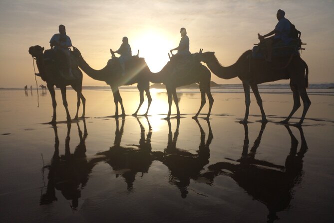 Camel ride or quad bike ride.. pick up, drop off. including - The camel ride itself: what you should expect moment to moment