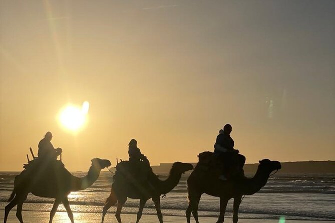 Camel ride or quad bike ride.. pick up, drop off. including - Price and value: why $22.10 can make sense in Essaouira