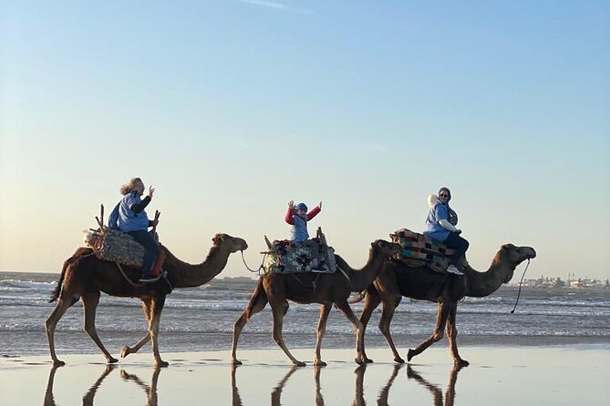 Camel ride or quad bike ride.. pick up, drop off. including - Group size and who this tour fits best