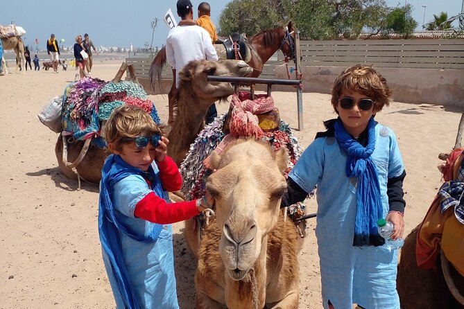 Camel ride or quad bike ride.. pick up, drop off. including - Oued Ksob river: birdwatching near Diabat (with real species names)