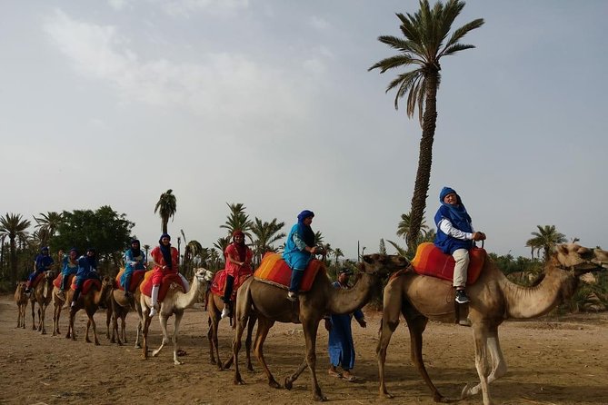 Camel Ride & Quad Bike tours in the palm grove of Marrakech - Key highlights worth your attention