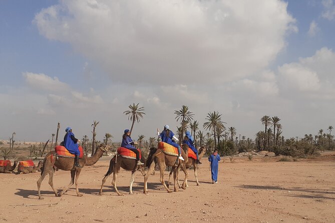 Camel Ride & Quad Bike tours in the palm grove of Marrakech - Your pickup and timing: what to expect before you mount up