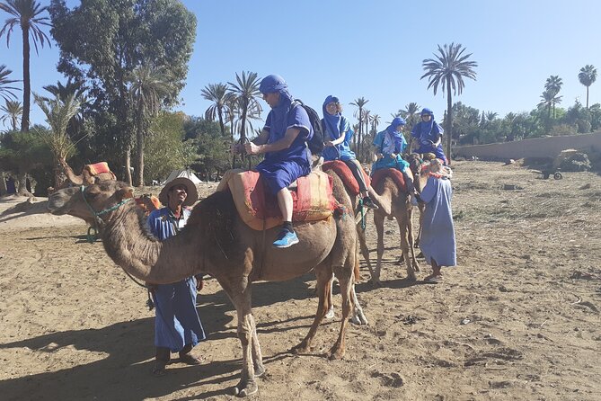 Camel Ride & Quad Bike tours in the palm grove of Marrakech - Mint tea break: the reset between calm palms and quad speed