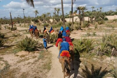Camel Ride & Quad Bike tours in the palm grove of Marrakech - The 1-hour camel ride: learning the rhythm in Marrakech’s palmeraie