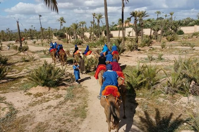 Camel Ride & Quad Bike tours in the palm grove of Marrakech - The 1-hour camel ride: learning the rhythm in Marrakech’s palmeraie