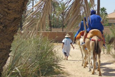 Camel Ride & Quad Biking Half Day in Marrakech - The 4-hour flow: how your morning or afternoon usually unfolds