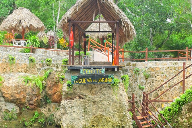 Cancun ATV Tour with Zipline, Cenote & Transportation - Cenote swim and jumping: the big payoff