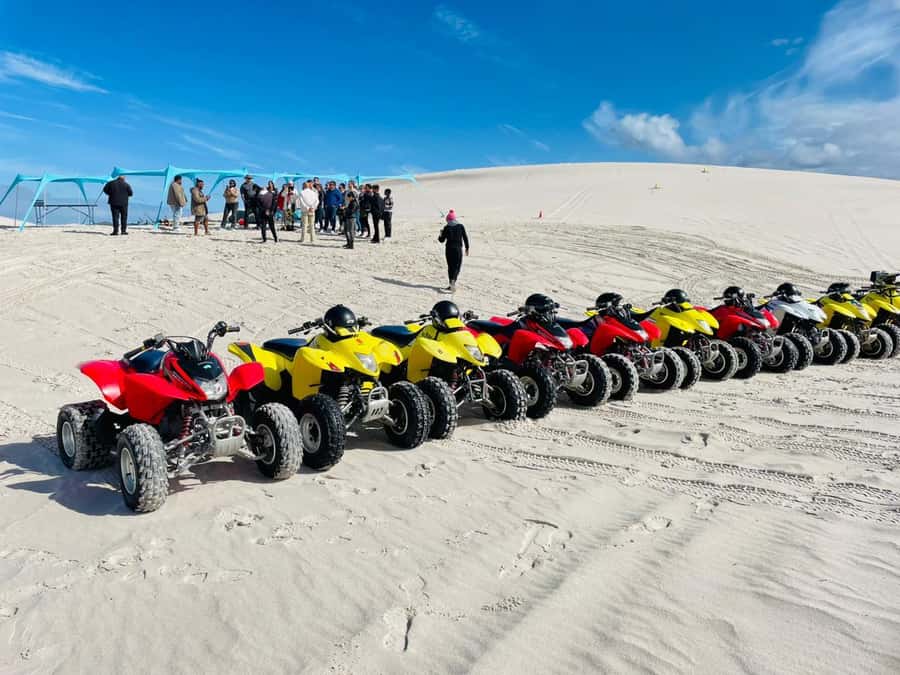 Cape Town: Atlantis Dunes Quad Bike & Free Sandboarding Tour - Check-in at Witzands Aquifer: where to go and what to do first