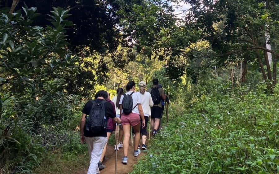 Chiang Mai: ATV Adventure, Jungle Hike & White Water Rafting - 200cc ATV Time: Fast Bumps, Scenery, and Control