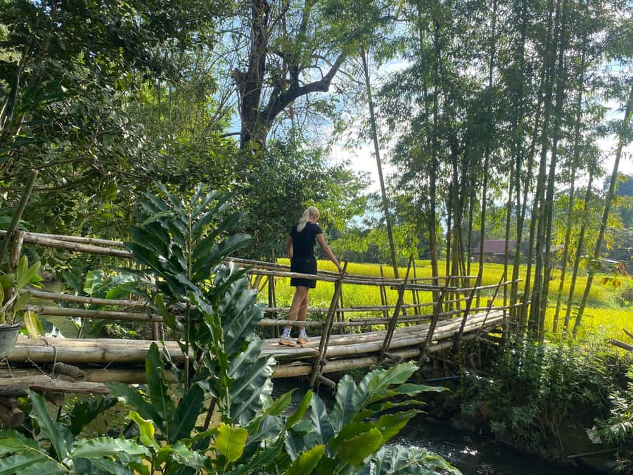 Chiang Mai: Doi Inthanon Explore & ATV Adventure - Doi Inthanon Park stops: summit area, pagoda, and waterfall timing