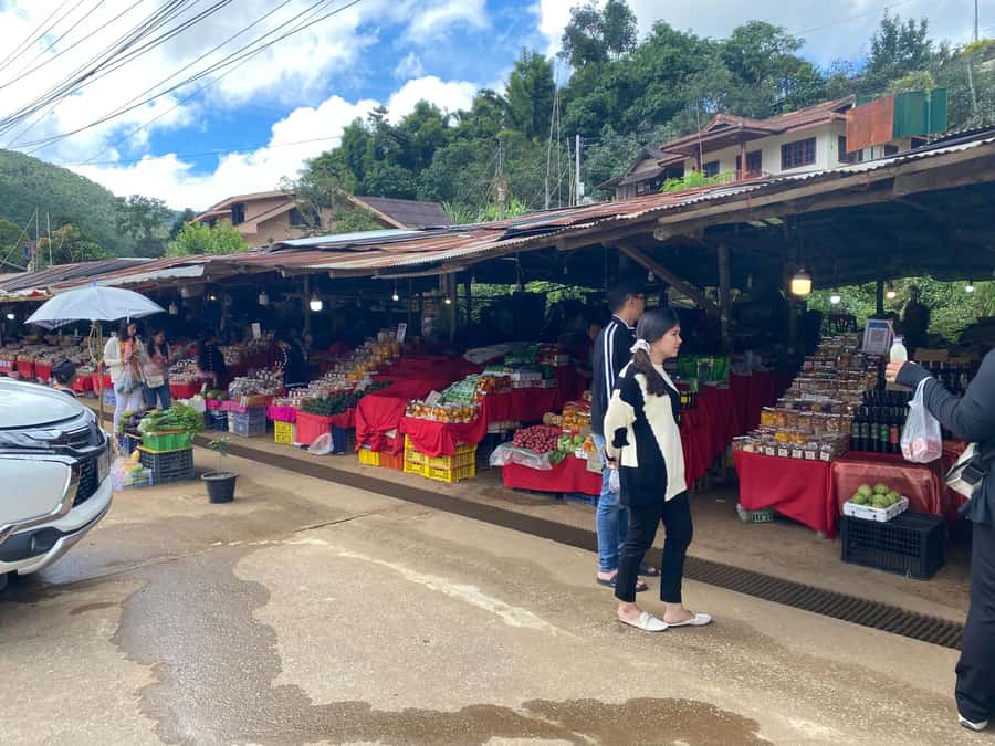 Chiang Mai: Doi Inthanon Explore & ATV Adventure - ATV adventure on northern trails: choose your ride length and stay flexible