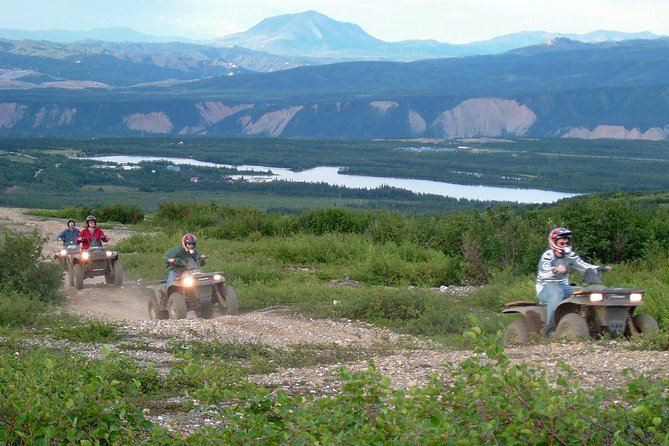 Classic ATV Adventure with Back Country Dining - Wildlife spotting: keep your eyes up, but don’t expect guarantees