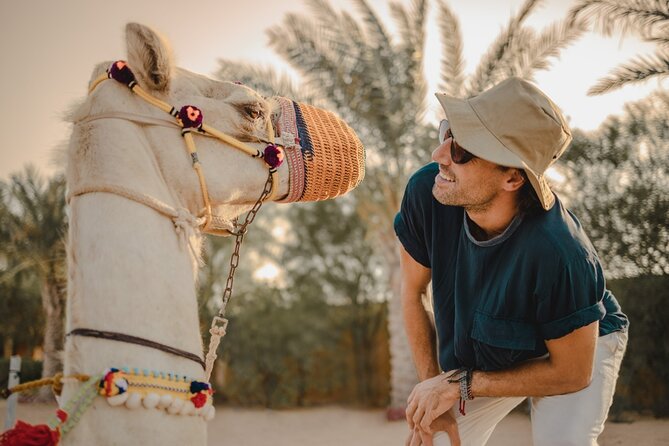 Combo:Deluxe Desert Safari with dinner + ATV self-drive/Quad Bike - Vegetarian Option and Comfort-First Details