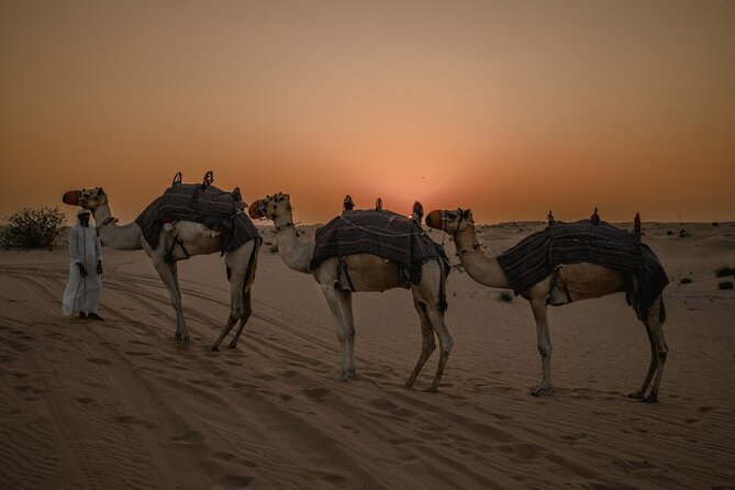 Combo:Deluxe Desert Safari with dinner + ATV self-drive/Quad Bike - Quad Bike or ATV Self-Drive: The 30 Minutes That Make the Tour