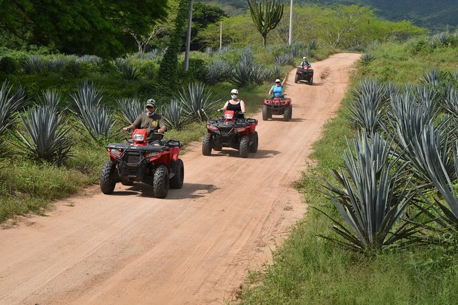 COMBO Zip lines and ATV´s at Hacienda Los Osuna - Getting There: Hacienda Los Osuna Starts the Day for You