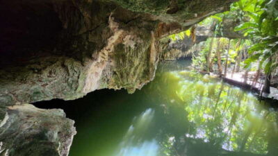 cozumel: ATV adventure with caverns, ruins with transfer - Jungle ATV time: singles, doubles, and first-timer-friendly pacing