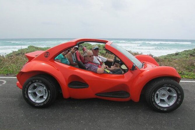 Cozumel Buggy Island Tour, Otoch Mayan Experience & Clear Boat - Playa Publica San Martin: beach time that still feels like a stop, not a day