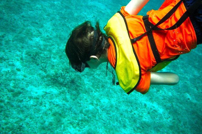 Cozumel Buggy Tour: Snorkeling , Otoch Mayan Experience & Lunch - Lunch, Snacks, and Drinks: What’s Included vs. What Costs Extra