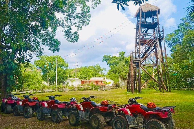 Cozumel Jungle ATV Adventure and Unlimited Beach Break - Transportation and timing: from cruise port to reef club and back