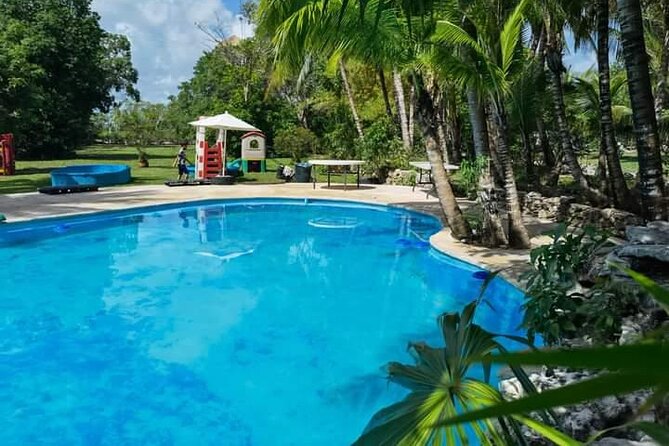 Cozumel Jungle ATV Adventure and Unlimited Beach Break - Tequila tasting: included, and usually not the hard-sell kind