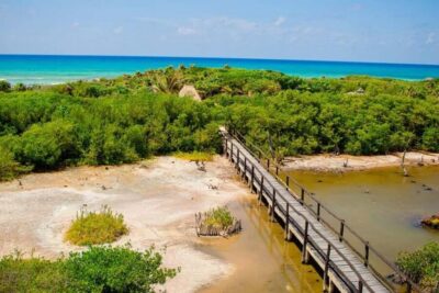 Cozumel: Private Buggy Tour to Punta Sur Park All Inclusive - El Mirador and Celarain Lighthouse: Where the Photos Actually Make Sense