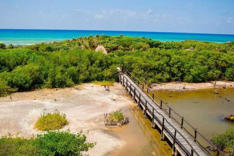 Cozumel: Private Buggy Tour to Punta Sur Park All Inclusive - Price and Value: Is $102 a Smart Deal for This Much Included?