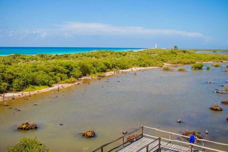 Cozumel: Private Buggy Tour to Punta Sur Park All Inclusive - Should You Book the Cozumel Private Buggy Tour to Punta Sur?