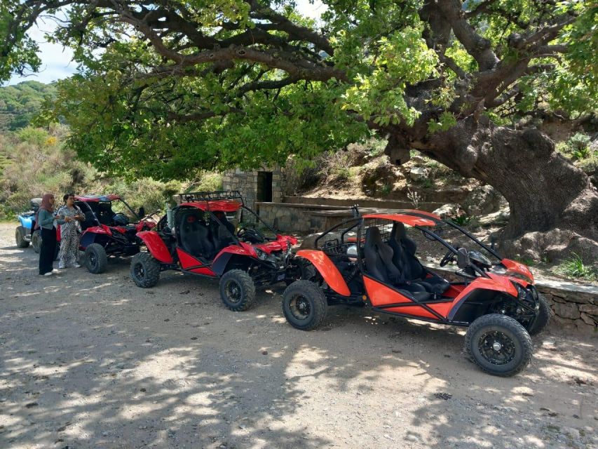 Crete buggy safari - Vasilakis Estate Olive Oil Tour and the Vrahasi Museum Option