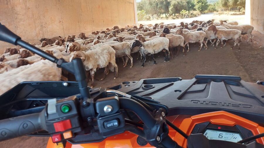 Crete: Off-Road Quad Safari with Lunch/Dinner - Milatos Cave hike: history in your legs, not just on a sign